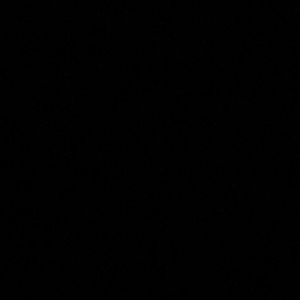 Meet your Posher, Auburn